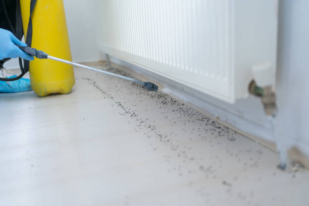 Pest Control for Restaurants in Claysburg, PA
